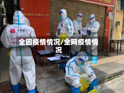 全因疫情情况/全网疫情情况