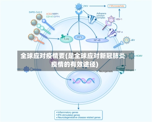 全球应对疫情要(是全球应对新冠肺炎疫情的有效途径)