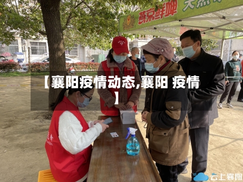 【襄阳疫情动态,襄阳 疫情】