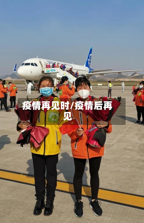 疫情再见时/疫情后再见-第2张图片
