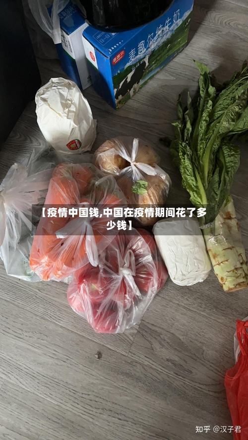【疫情中国钱,中国在疫情期间花了多少钱】-第2张图片