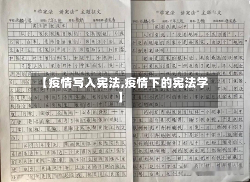 【疫情写入宪法,疫情下的宪法学】