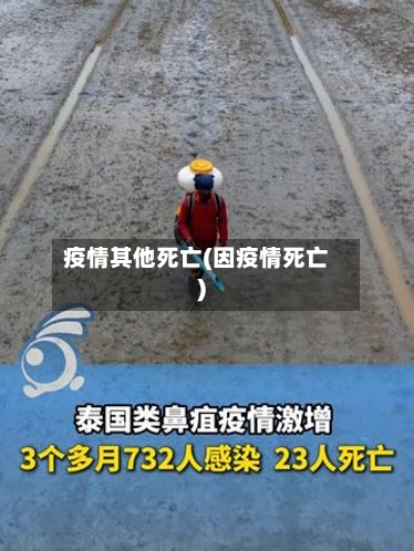 疫情其他死亡(因疫情死亡)-第2张图片