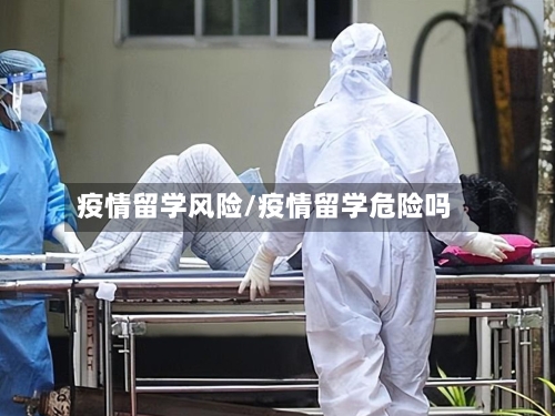 疫情留学风险/疫情留学危险吗-第3张图片