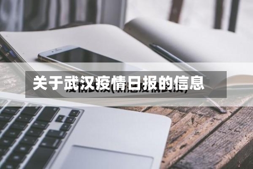 关于武汉疫情日报的信息-第3张图片