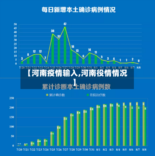 【河南疫情输入,河南役情情况】