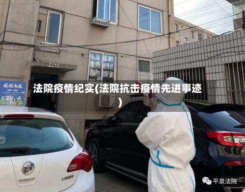 法院疫情纪实(法院抗击疫情先进事迹)