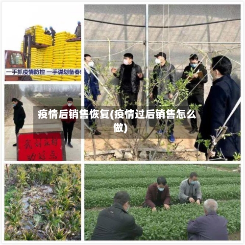 疫情后销售恢复(疫情过后销售怎么做)