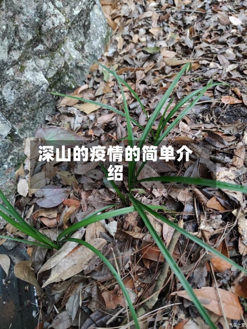 深山的疫情的简单介绍-第2张图片