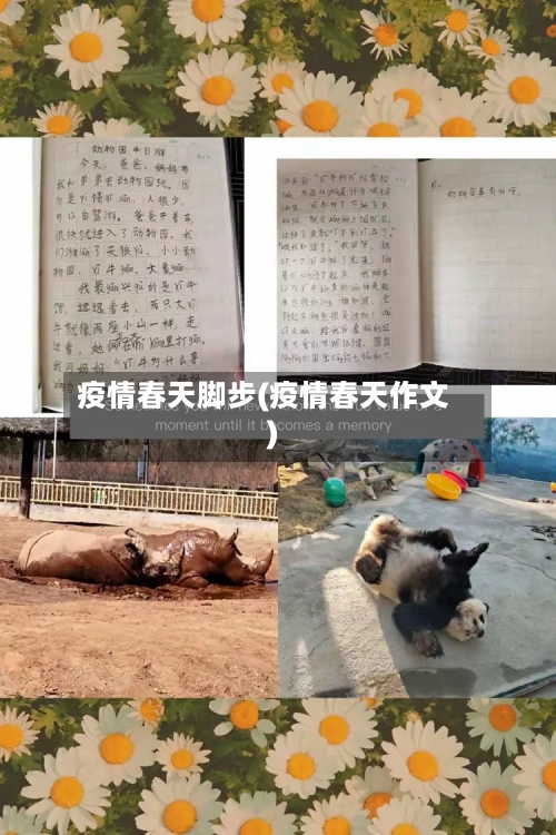 疫情春天脚步(疫情春天作文)-第3张图片