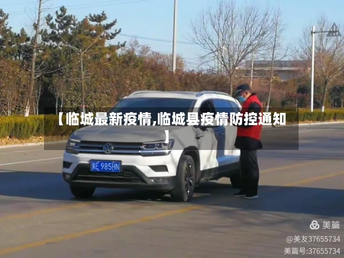 【临城最新疫情,临城县疫情防控通知】-第2张图片