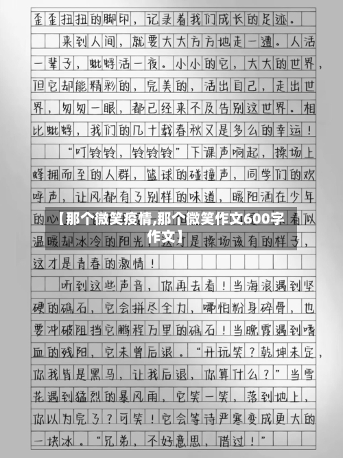 【那个微笑疫情,那个微笑作文600字作文】-第2张图片