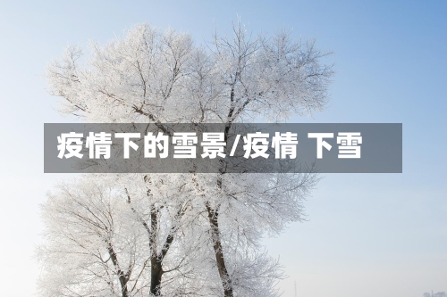 疫情下的雪景/疫情 下雪-第3张图片