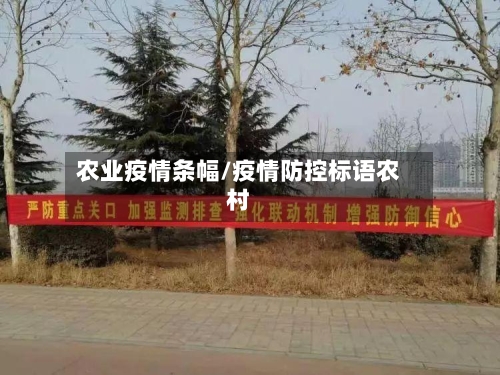 农业疫情条幅/疫情防控标语农村-第2张图片