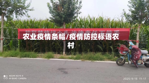 农业疫情条幅/疫情防控标语农村