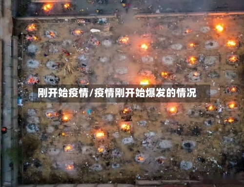 刚开始疫情/疫情刚开始爆发的情况