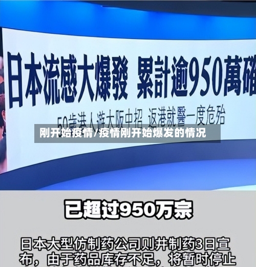 刚开始疫情/疫情刚开始爆发的情况-第3张图片