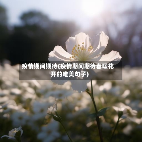 疫情期间期待(疫情期间期待春暖花开的唯美句子)