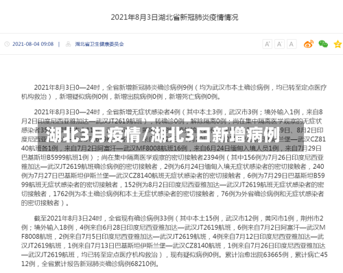 湖北3月疫情/湖北3日新增病例-第3张图片