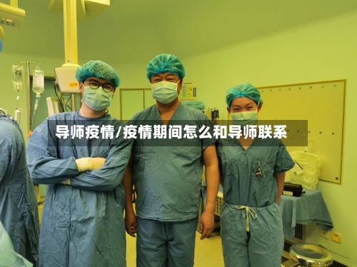 导师疫情/疫情期间怎么和导师联系