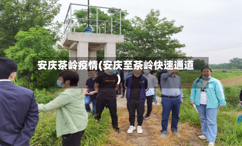 安庆茶岭疫情(安庆至茶岭快速通道)-第2张图片