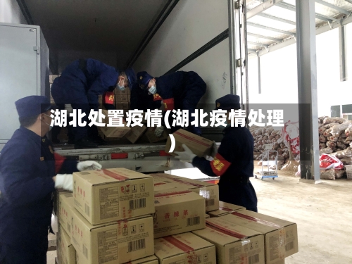 湖北处置疫情(湖北疫情处理)
