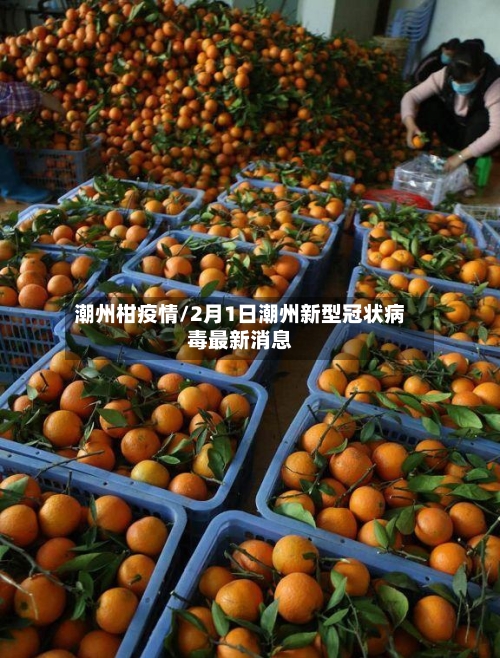 潮州柑疫情/2月1日潮州新型冠状病毒最新消息-第2张图片