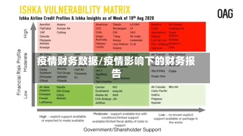疫情财务数据/疫情影响下的财务报告-第2张图片
