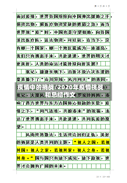 疫情中的挑战/2020年疫情挑战和总结作文
