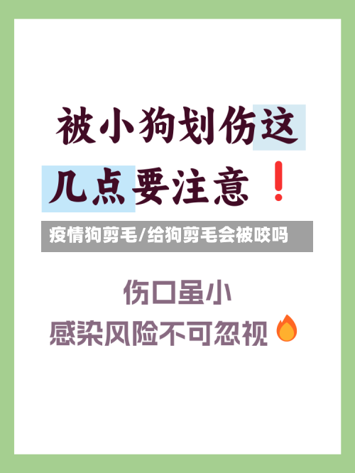 疫情狗剪毛/给狗剪毛会被咬吗