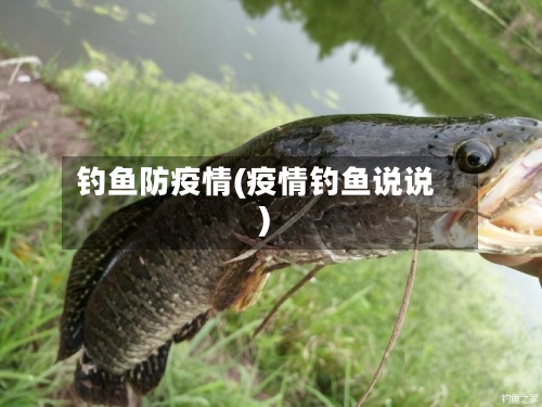 钓鱼防疫情(疫情钓鱼说说)