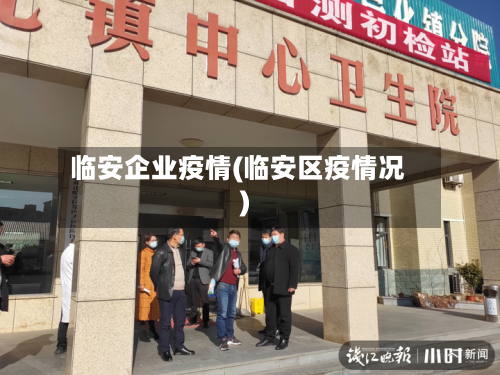 临安企业疫情(临安区疫情况)-第3张图片