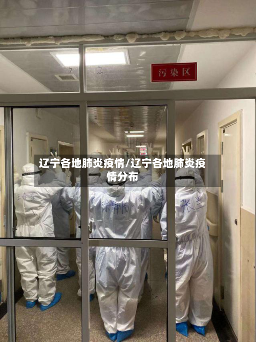 辽宁各地肺炎疫情/辽宁各地肺炎疫情分布-第2张图片