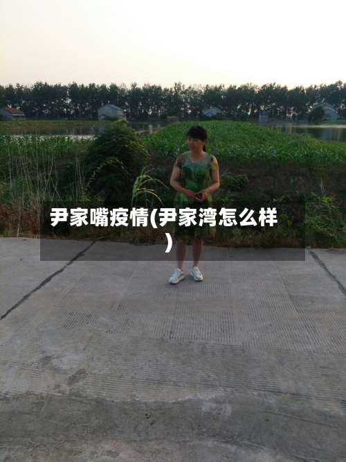 尹家嘴疫情(尹家湾怎么样)