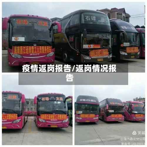 疫情返岗报告/返岗情况报告
